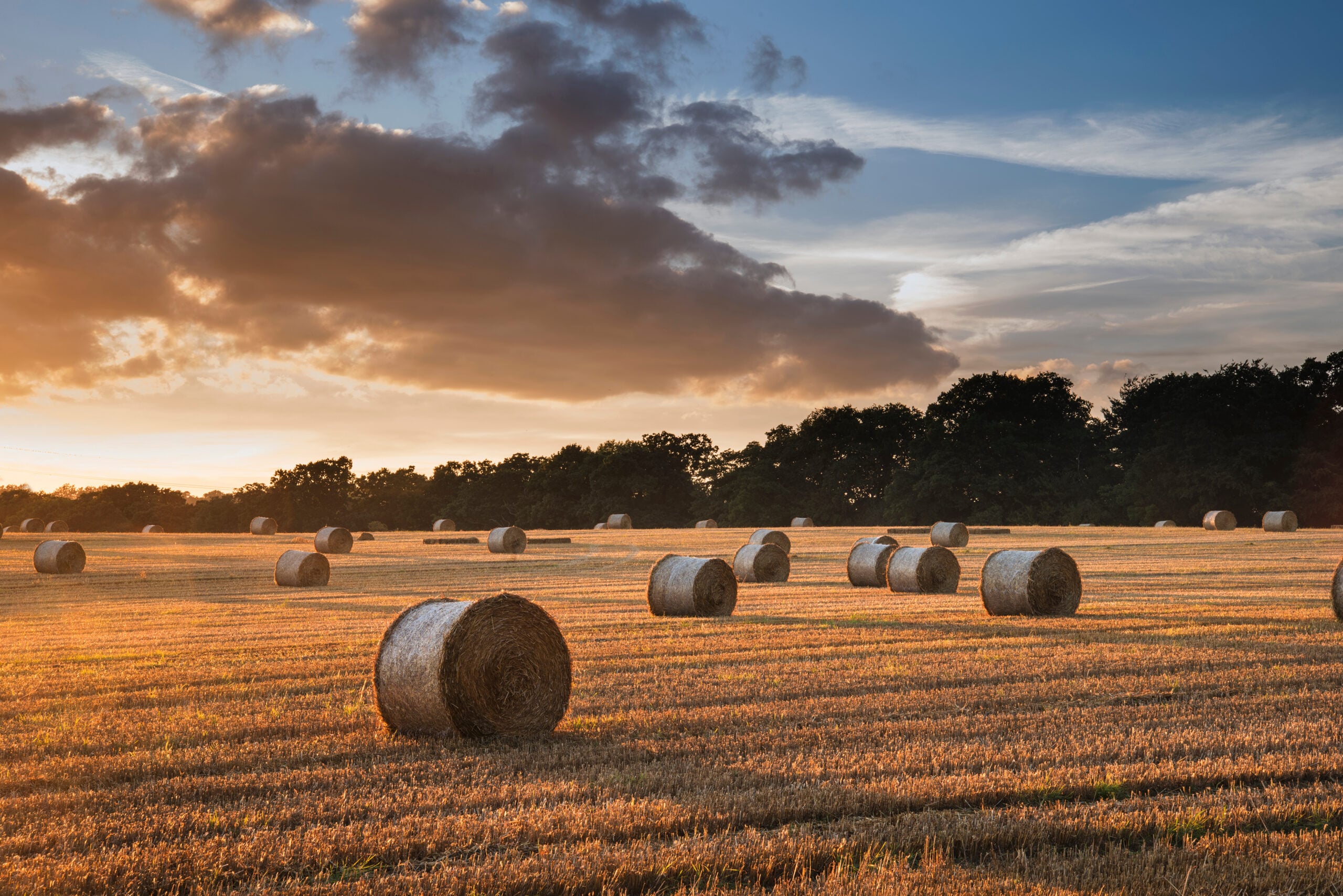Beautiful landscape image of hay bales in Summer field during colourful sunset