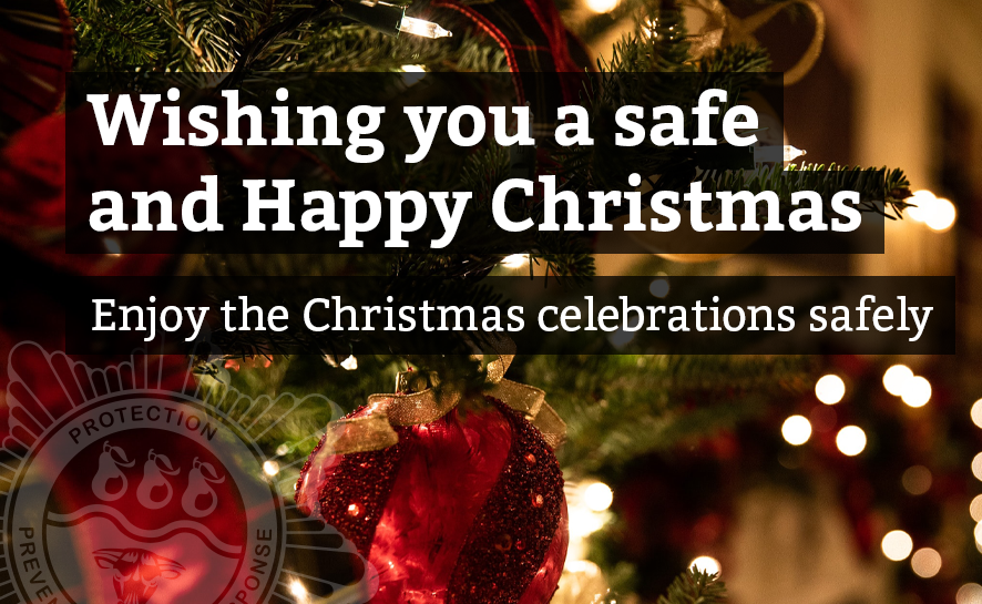 Christmas safety cropped